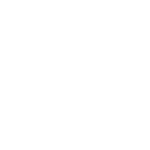 shopping bag (2)